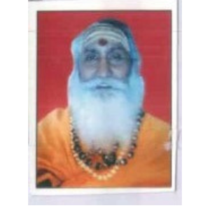 ब्रह्मचारी तीर्थानंद जी, सदस्य