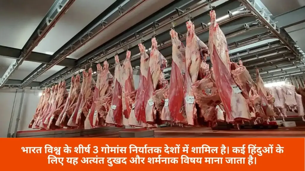 slaughter house (2)