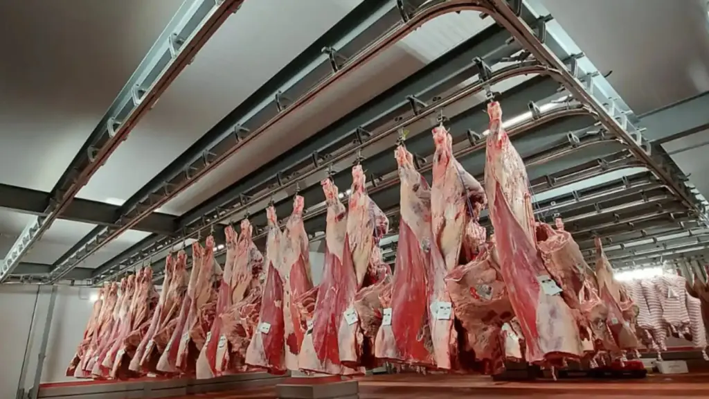 slaughter house